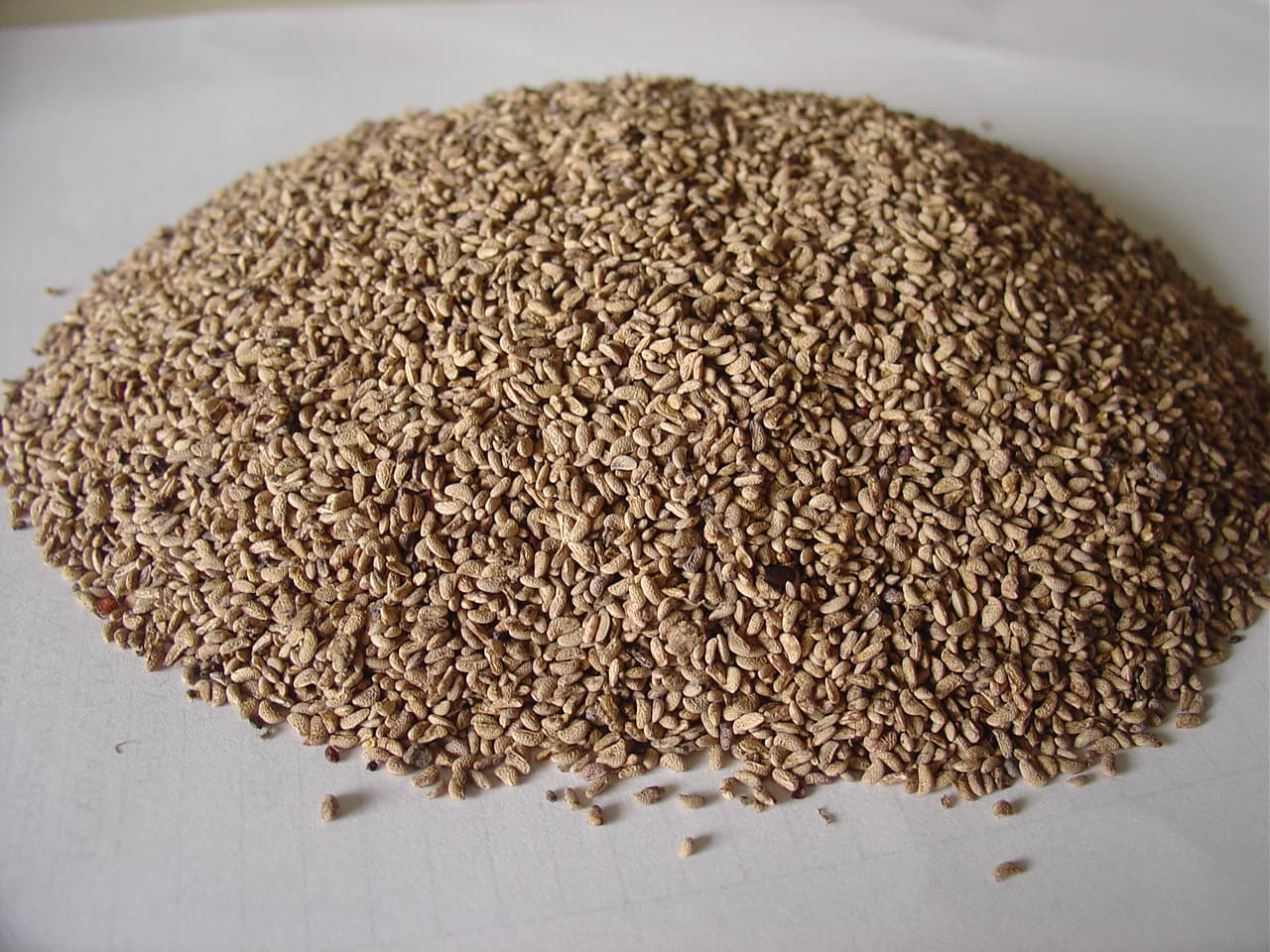 RASPBERRY SEEDS DRIED for food_ oil pressing CO2 extraction